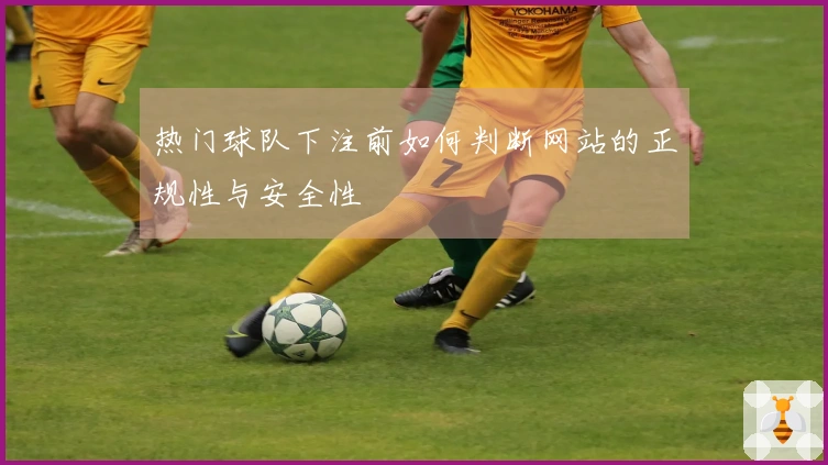 热门球队下注前如何判断网站的正规性与安全性