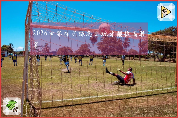 2026世界杯买球怎么玩才能提高胜算