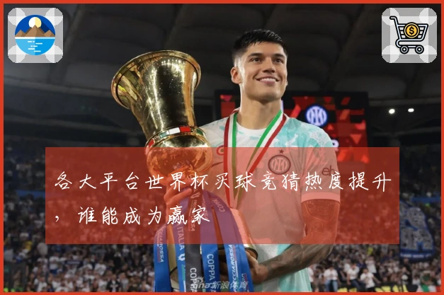 各大平台世界杯买球竞猜热度提升，谁能成为赢家