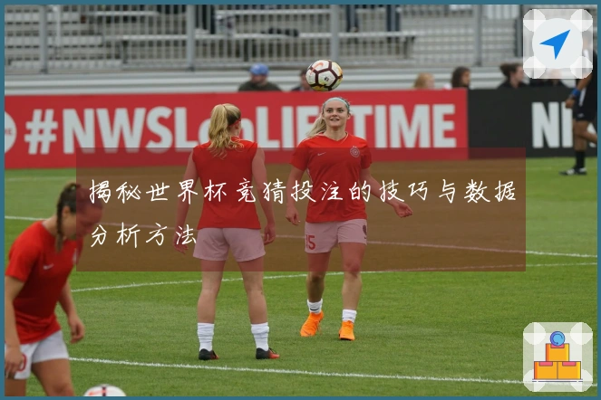 揭秘世界杯竞猜投注的技巧与数据分析方法