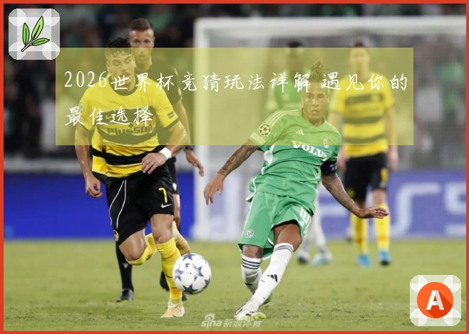 2026世界杯竞猜玩法详解 遇见你的最佳选择