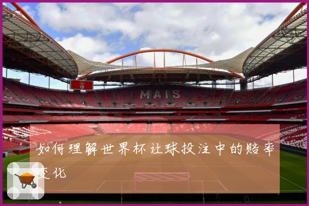 如何理解世界杯让球投注中的赔率变化