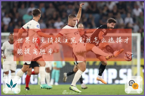 世界杯竞猜投注究竟该怎么选择才能提高胜率