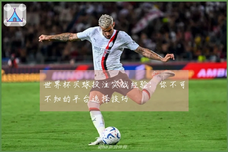 世界杯买球投注实战经验：你不可不知的平台选择技巧