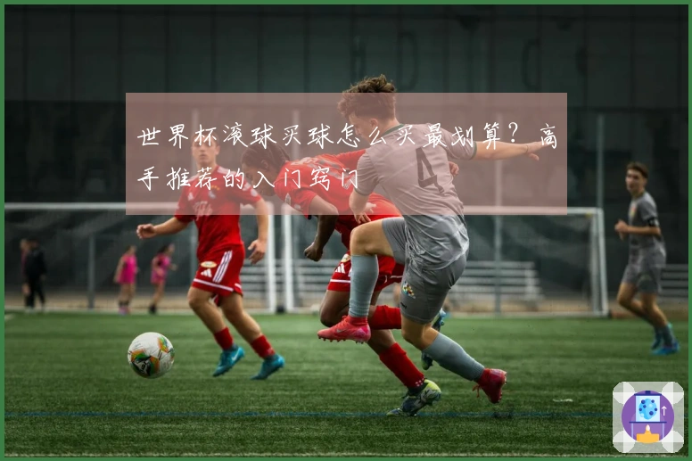 世界杯滚球买球怎么买最划算？高手推荐的入门窍门